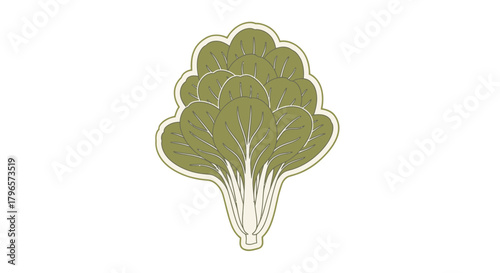 Fresh Illustrative Bok Choy Plant Isolated on Black Background in a Unique Style
