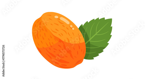 Fresh Apricot With Vibrant Green Leaf on Solid Black Backdrop, Healthy Dietary Design