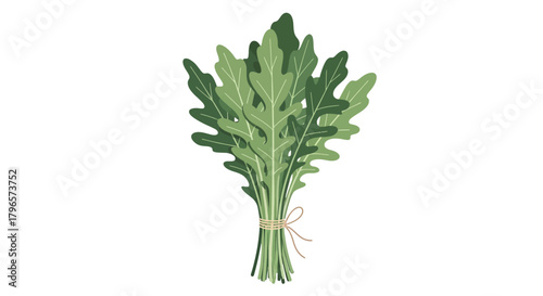 Fresh Arugula Bunch Illustration, Isolated on Deep Black, With Twine Detailing