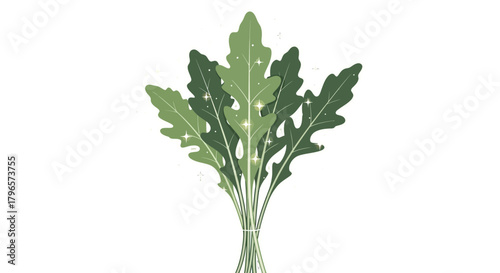 Fresh Arugula Bunch with Decorative Highlights and Black Background Illustration
