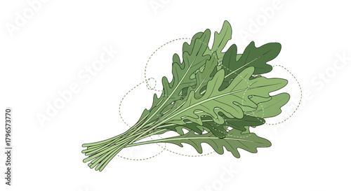 Fresh Arugula Illustration Amidst Darkness: Botanical Renderings And Minimalist Art