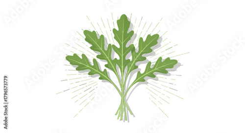 Fresh Arugula Illustration With Bursting Radiance and Contemporary Artistic Design