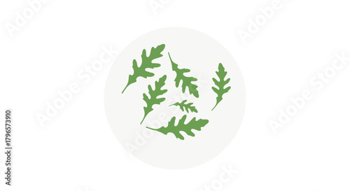 Fresh Arugula Leaves Arranged On A White Circular Surface Against Black Background