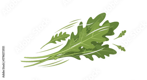 Fresh Arugula on Black Background: A Culinary and Freshness Concept