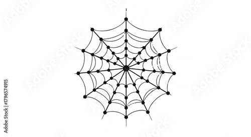 Intricate spider web design on a white background, representing connection and fragility.