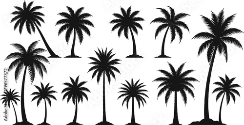 Palm tree silhouettes, tropical design, black vector, nature icons, curved trunks, frond shapes, beach vibe, minimal style, graphic set, exotic foliage