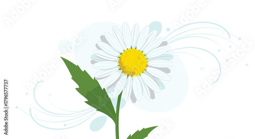 A delicate white daisy with a bright yellow center blooms vibrantly against a softly blurred background with swirling white accents and subtle light blue circles.