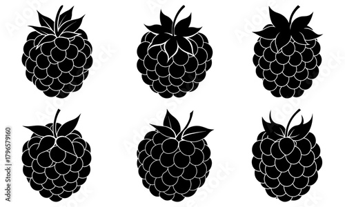 Illustration of six black raspberry silhouettes with leaves arranged in two rows of three berries