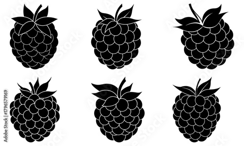 Illustration of six blackberries with leaves in black and white silhouette style on a white background