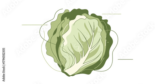Fresh, Artistic Depiction of Cabbage on a Black Background, Conceptual Vegetable Graphic