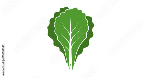 Fresh, Vibrant Lettuce Illustration on Black Background Ideal for Food and Health Concepts