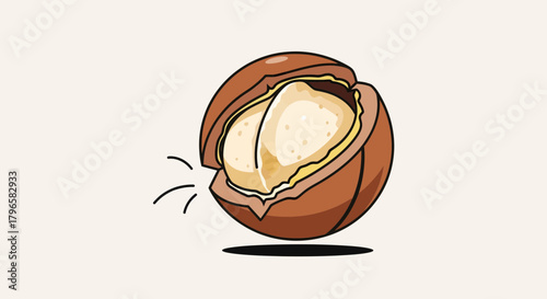 Freshly Opened Macadamia Nut Illustration On Plain Background For Healthy Dieting
