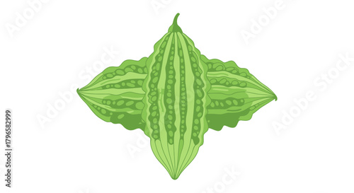 Freshly Picked Bitter Gourds Presented in an Eye-Catching and Clean Visual Arrangement