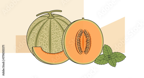 Freshly Sliced Cantaloupe And Mint Illustration For Summer Refreshment