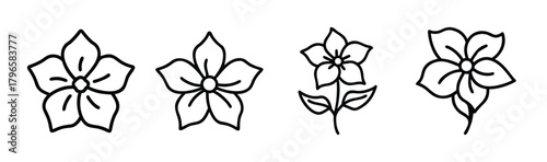 Four delicate hand-drawn outline flowers each featuring five petals and intricate petal details