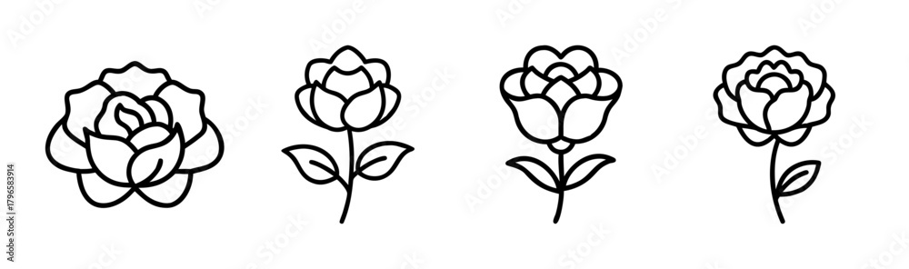 Obraz premium Delicate hand drawn peony flowers collection simple botanical line art botanical elements