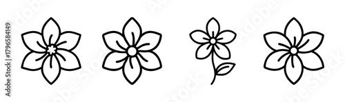 Delicate outline jasmine flowers botanical elements simple floral art
