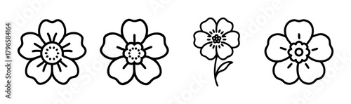 Set of four delicate outline drawings of japanese anemone flowers with five petals