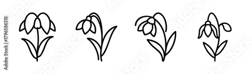 Four delicate line art snowdrop flowers in varying poses for spring and floral designs
