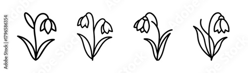 Delicate snowdrop flower line art collection for spring and nature designs