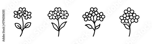 Delicate hand drawn sweet alyssum flower cluster illustrations in sketchy line art style