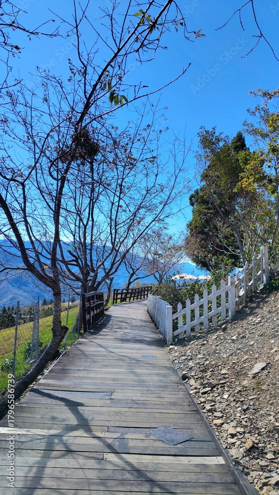 Fototapeta premium path in the park