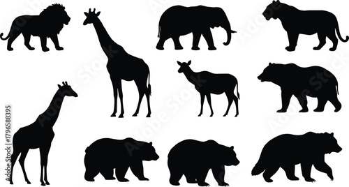 Wild animal silhouette set, jungle and savannah species vector, wildlife shape design, nature creature graphics, educational animal illustration collection