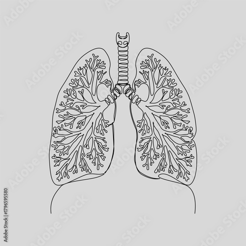 A minimalist continuous line art illustration of the human lung respiratory system. This simple vector is ideal for medical, health, education, or scientific design projects.