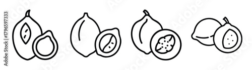 Set of hand drawn lucuma fruits whole and halved sketches isolated simple line art