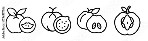 Four medlar fruits various stages of ripeness and presentation styles hand drawn line art icons