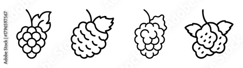 Four hand drawn line art style mulberries with leaves isolated on white