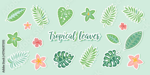 Collection of stylized tropical leaves and flowers with handwritten text tropical leaves