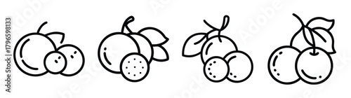 Charming hand drawn fruit icons featuring plums cherries and longans for fresh food designs