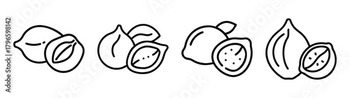 Set of four hand drawn lucuma fruits and halves outline sketch