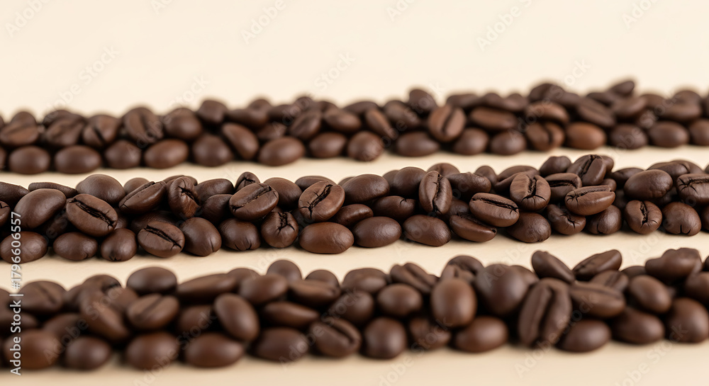 Obraz premium Rows of roasted coffee beans on a light background.