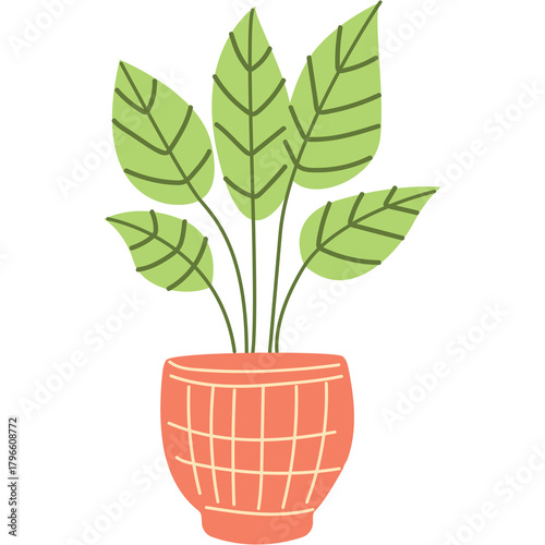 Potted green leafy plant in a textured coral ceramic planter on a transparent background
