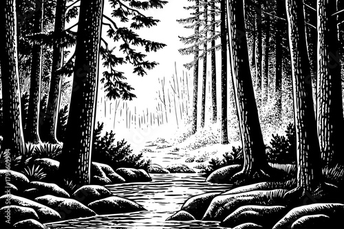 Cold fog flows slowly between tall trees as dawn begins, creating a mysterious dreamlike atmosphere over the silent snow covered ground