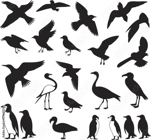 Bird silhouette set in varied species and poses, black flying and perched birds for nature, wildlife, design and education themes