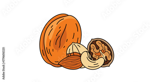 Healthy Nourishing Nuts Collection on Black Background In Various Arrangement Illustration