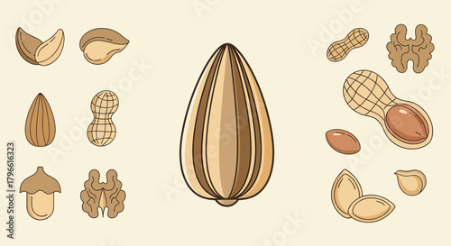 Healthy Nourishment: A Variety of Nuts and Seeds on a Plain Background