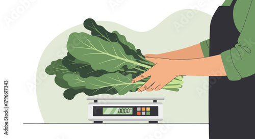 Healthy Greens Being Weighed By A Person, Ready For The Market, Food And Health