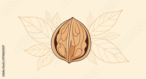 Illustrated Walnut With Leafy Background For Food-Related And Healthy Lifestyle Designs