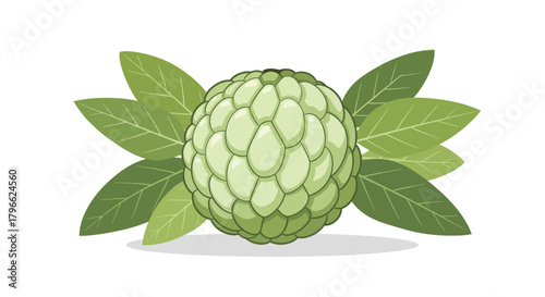 Illustration Of A Custard Apple Fruit Depicting Health Wellbeing And Freshness