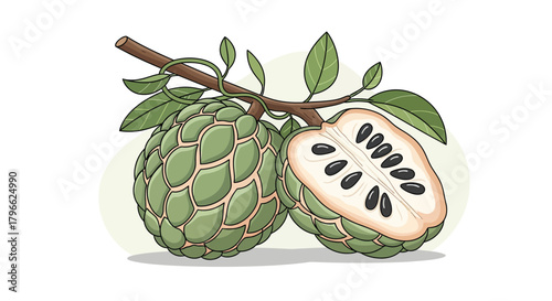 Illustration Of A Freshly Sliced Custard Apple With Green Leaves On White Background