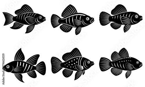 Illustration of six black and white goldfish with varying fin and body patterns in a symmetrical arrangement