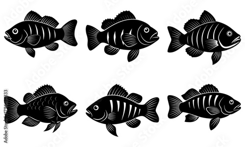 Illustration of six stylized black fish with detailed fins and scales on a white background design element