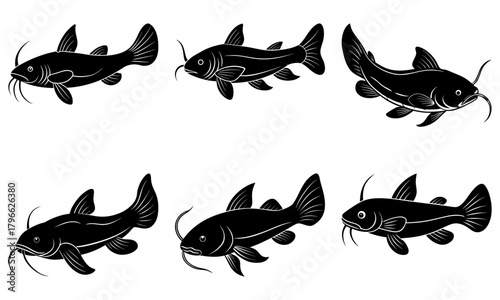 Six stylized catfish illustrations in black silhouette on a white background display various poses