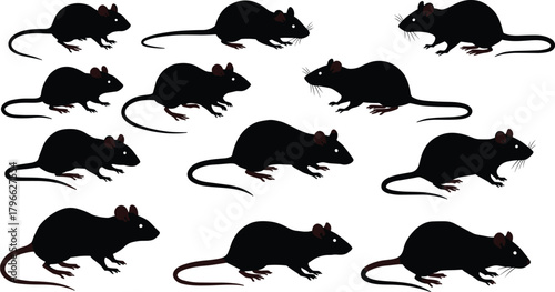Collection of black rat silhouettes in various standing and walking poses, detailed rodent vector illustration for design projects, wildlife artwork, pest control concepts