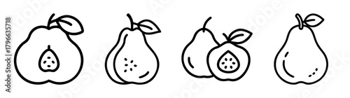 Quince fruit line art collection a half quince one full quince and two quinces