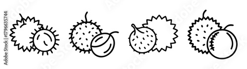 Four simple line art graphics of rambutan fruit variations with seeds and leaves